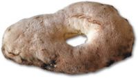 Pane