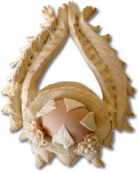 Pane