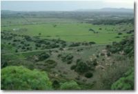 Campagna olmedese