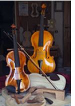 Violini