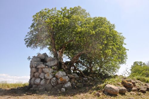 Nuraghe Talia - 2016