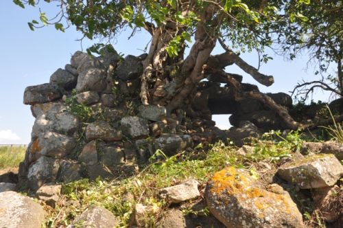 Nuraghe Talia - 2016