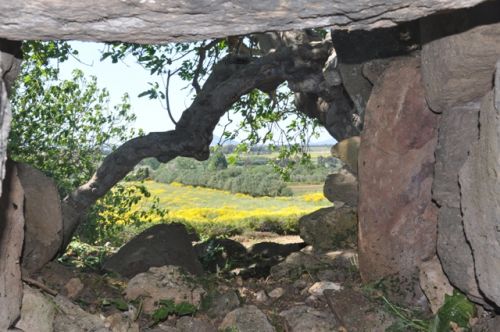 Nuraghe Talia - 2016